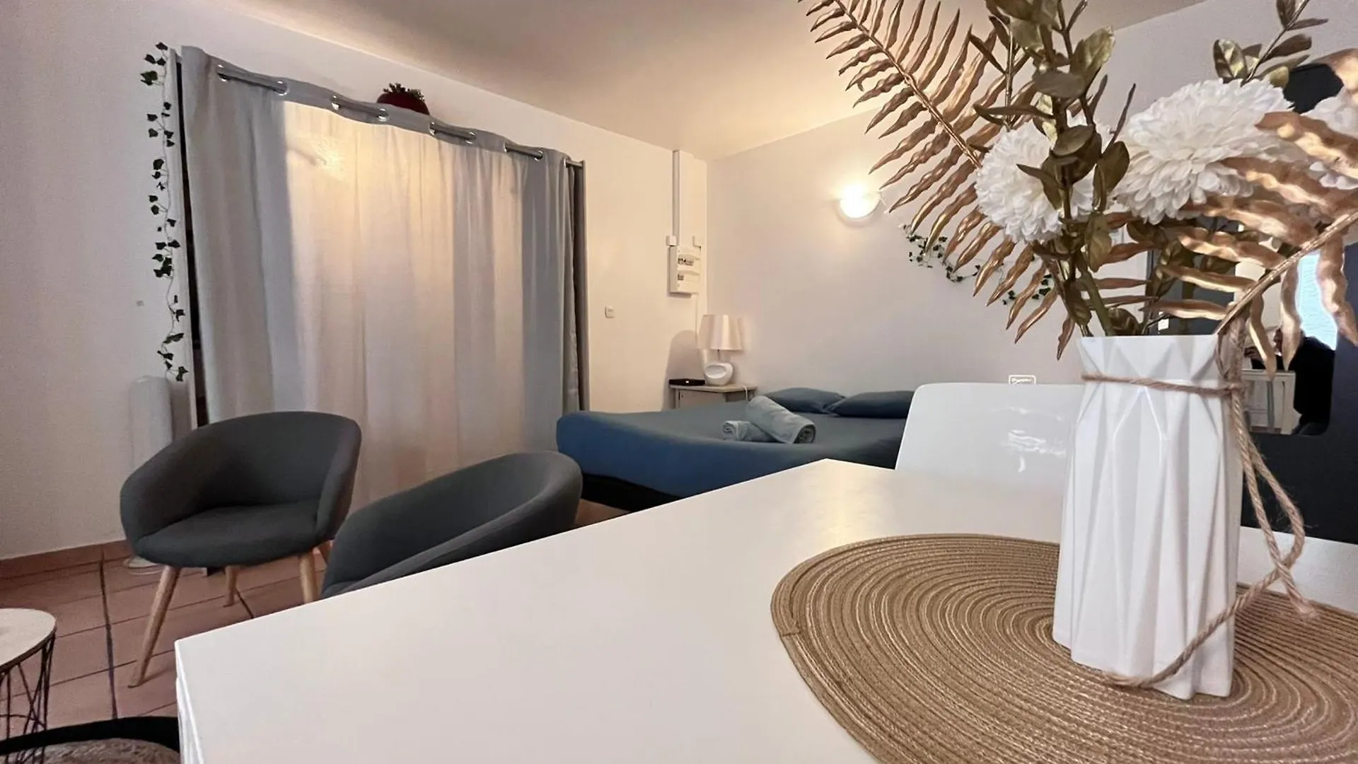 Appartement Le studio Théolier à Tournon-sur-Rhone