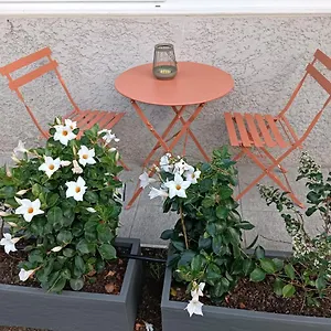 Le Jardin Appartement